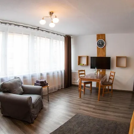 Lupartment 3* 莱茵河畔路德维希港