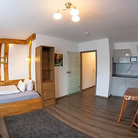 Aparthotel Lupartment Ludwigshafen am Rhein