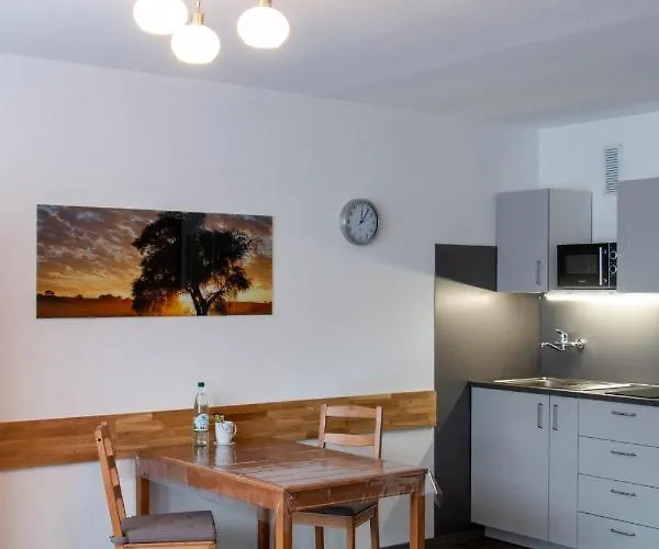 Lupartment 3* 莱茵河畔路德维希港