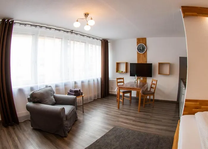 Lupartment 3* לודוויגסהאפן אם ריין