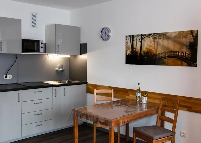 Lupartment 3* 莱茵河畔路德维希港