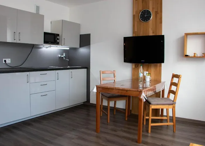 Lupartment 公寓式酒店 莱茵河畔路德维希港