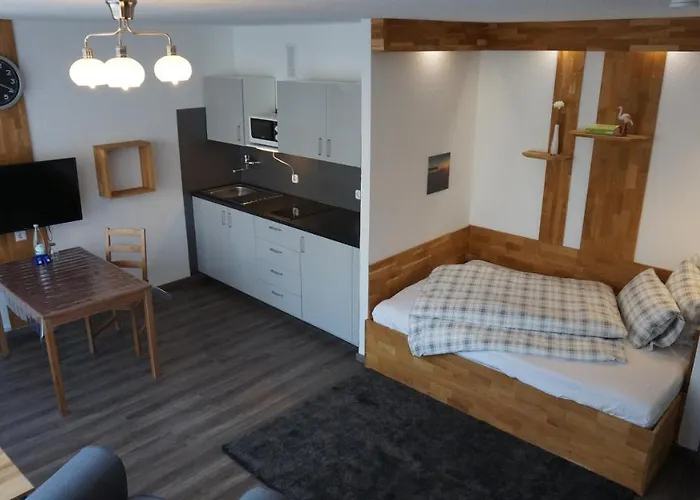 Lupartment 公寓式酒店 莱茵河畔路德维希港